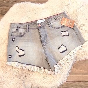 ~TOAST Raw hem, distressed gray shorts, NWT